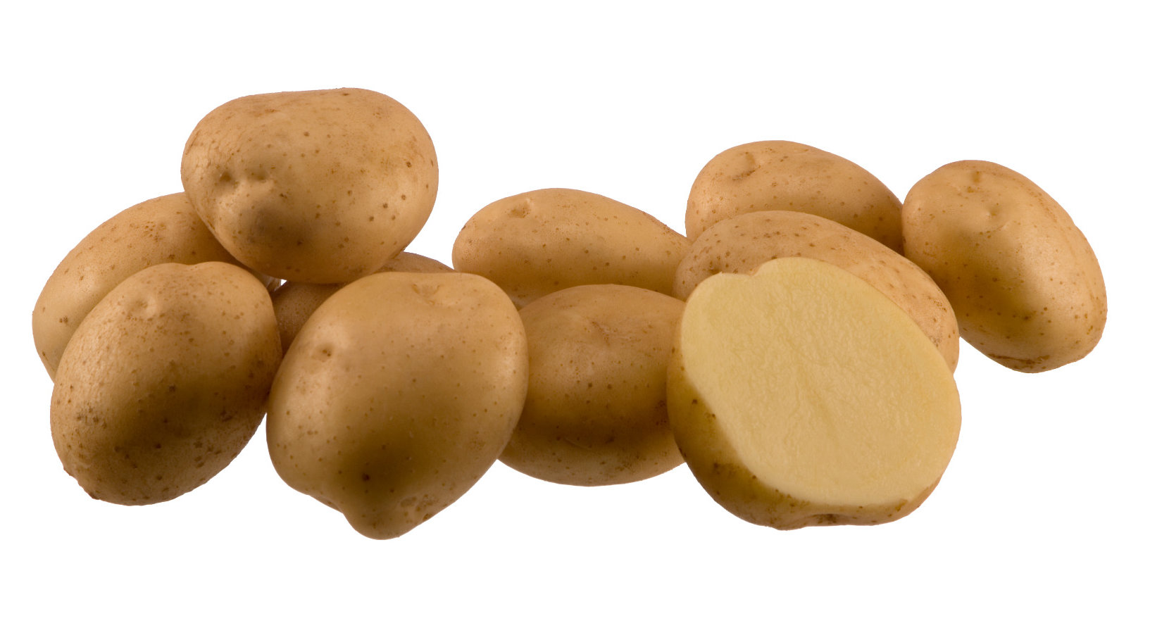 сорт картофеля сантэ фото